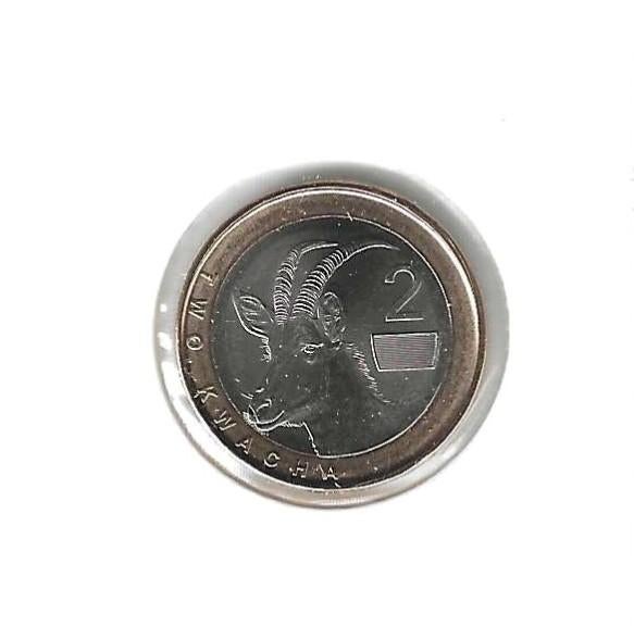 Zambia, 2 Kwacha 2024., Postzegels en Munten, Munten | Afrika, Ophalen of Verzenden, Zambia, Losse munt