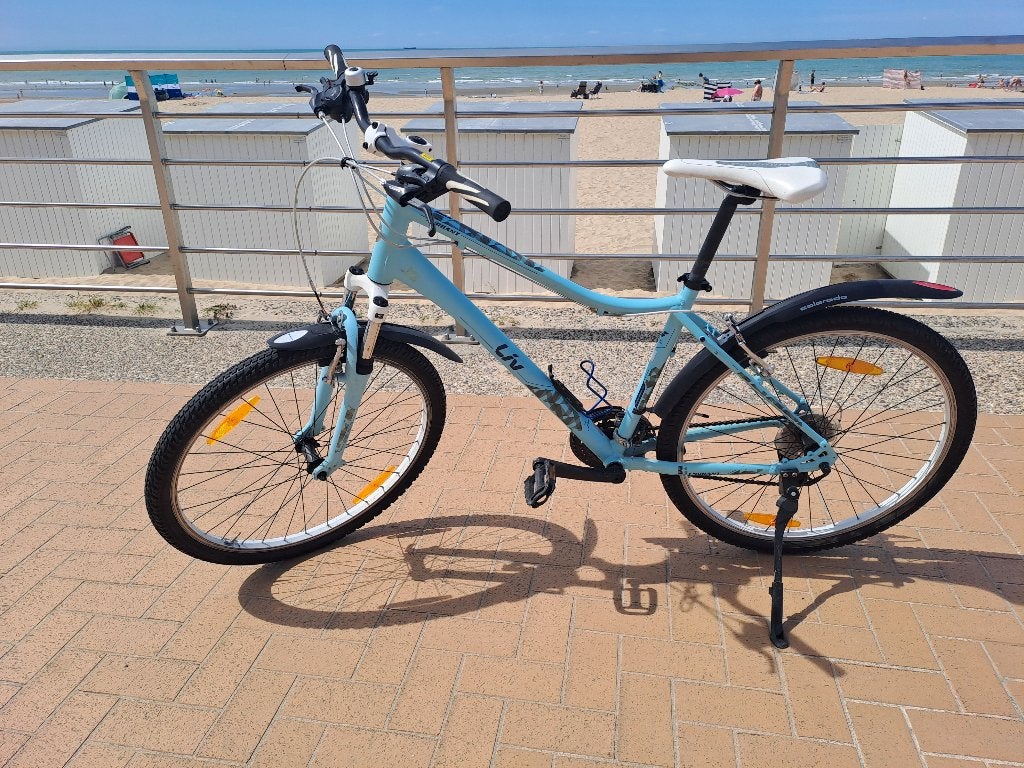 Liv "Enchant" meisjesfiets 26 inch muntgroen, Vélos & Vélomoteurs, Liv, Frein sur jante, 26 pouces ou plus, Enlèvement