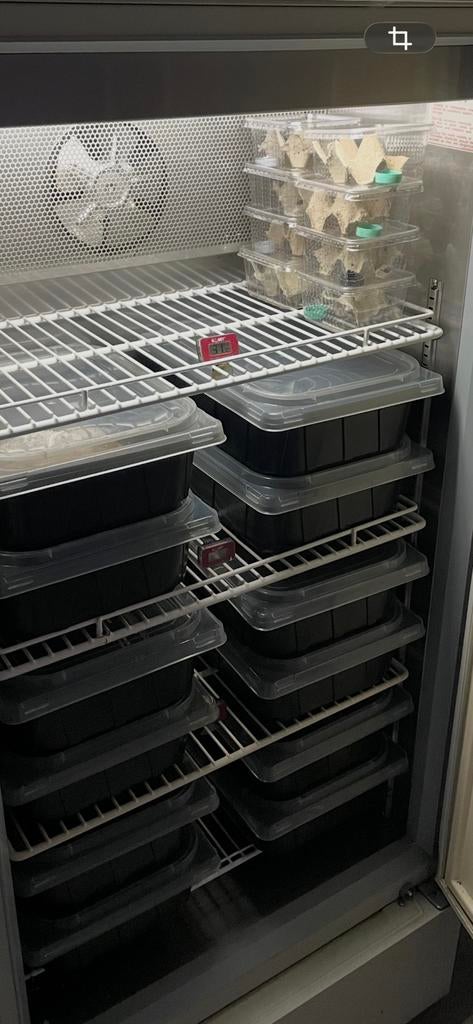 Sanyo incubator voor reptielen eieren., Ophalen, Gebruikt, Broedstoof of Broedmachine