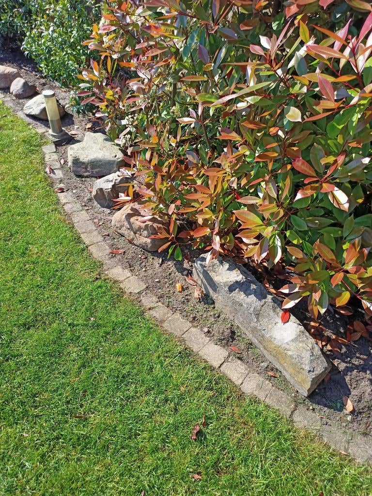 Stenen voor in de tuin, Ophalen