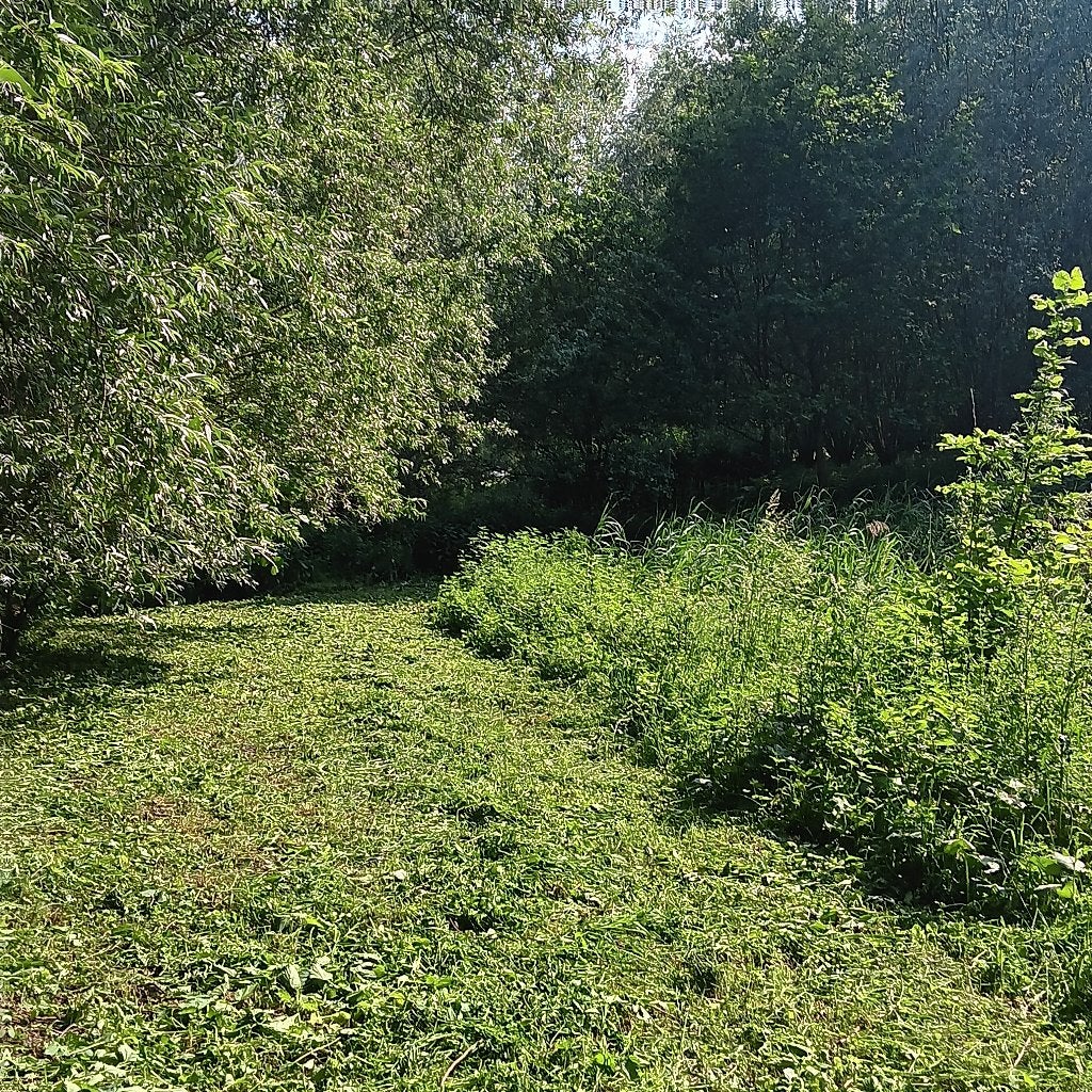 Landbouwgrond - weiland met vijver, Immo, Stekene, Verkoop zonder makelaar, 1500 m² of meer
