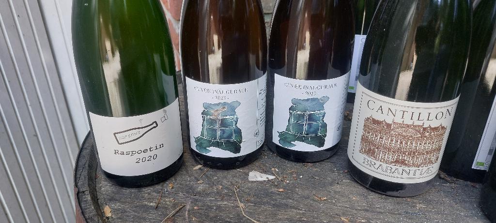 bofkont ammonite cantillon, Envoi