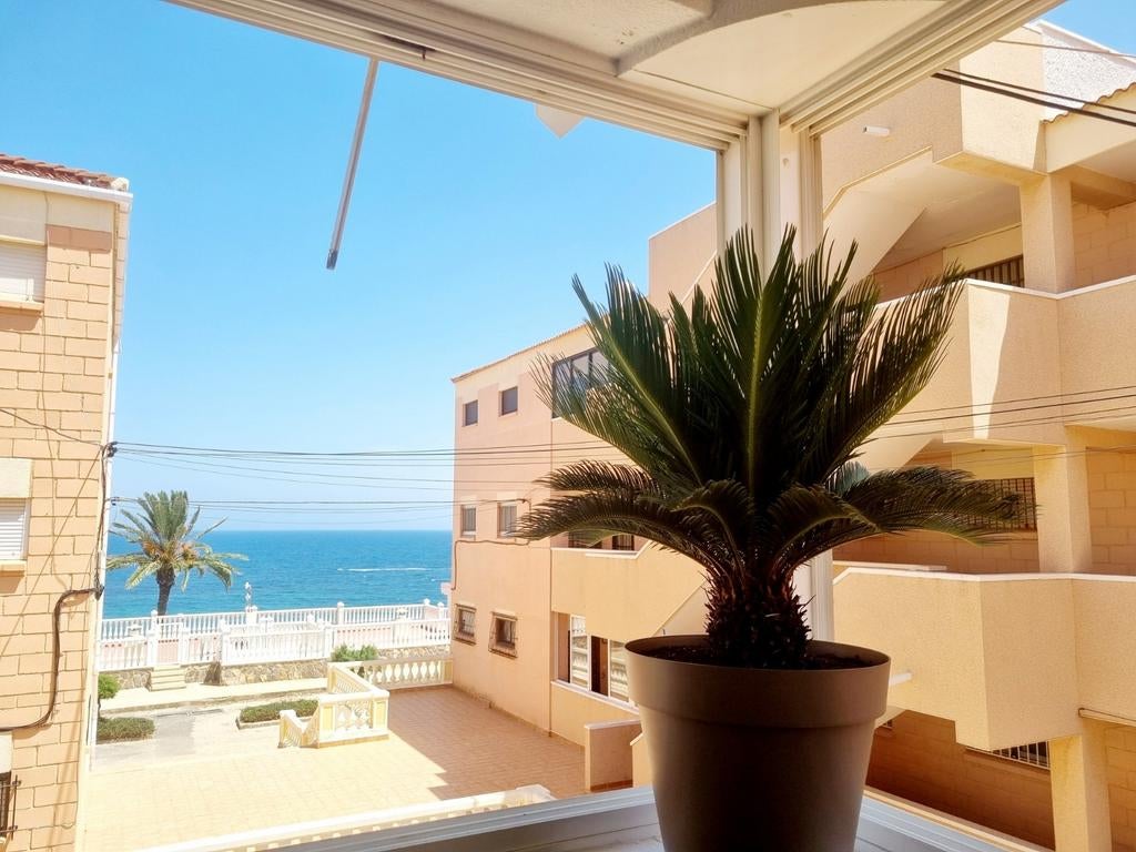 Espagne 🇪🇸 Alicante Playa Mil Palmeras 🍹🏝, Propriétaire, 1 chambre, Internet, Costa Blanca