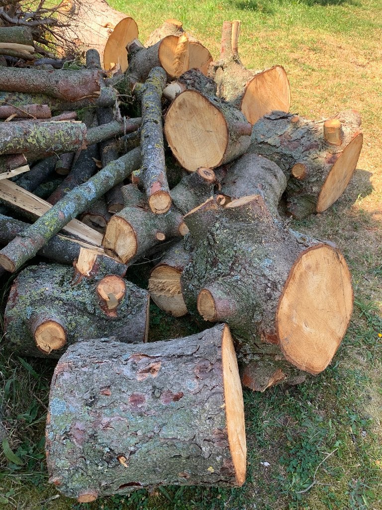 Grosses buches Sapin, Tuin en Terras, Brandhout, Ophalen, Overige houtsoorten, Blokken