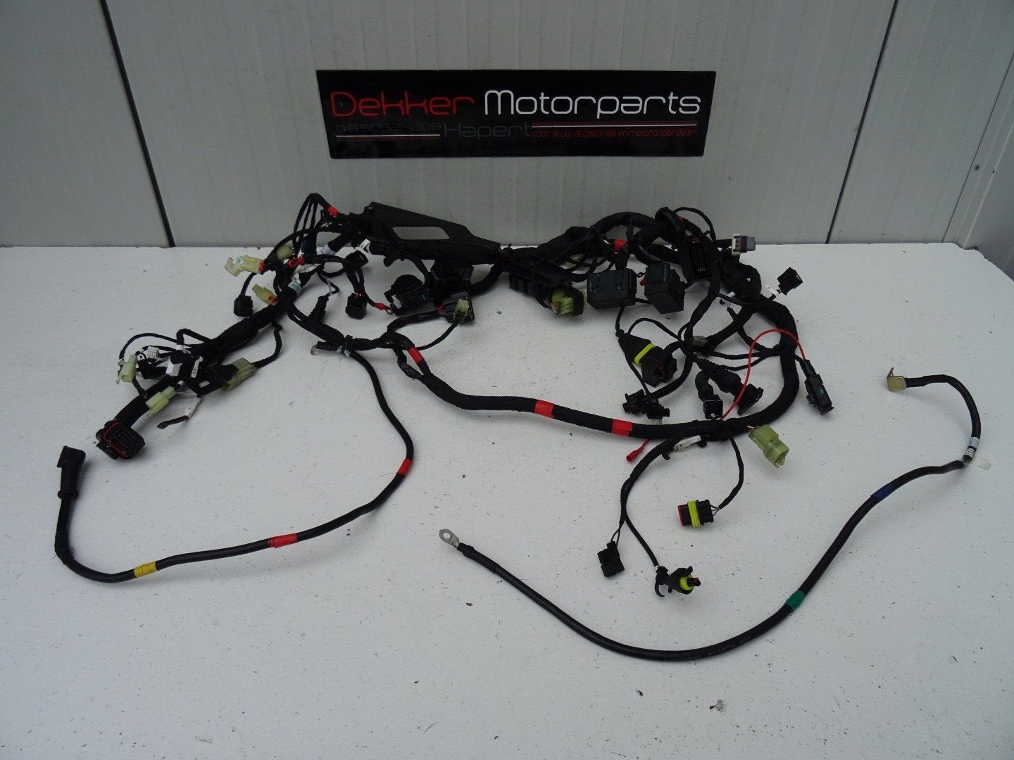 Kabelboom / Wire Harness Ducati Monster 821 2018-2019-2020, Motos, -, Utilisé, -, -