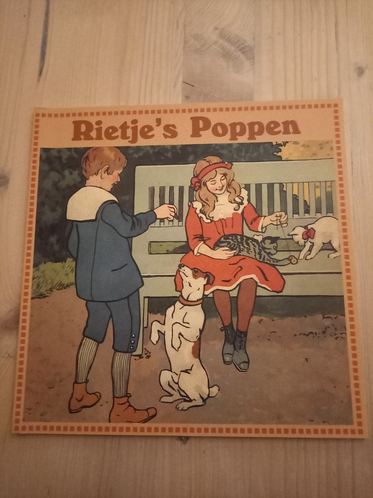 nieuw boek Rietje's poppen, Ophalen of Verzenden, Nieuw