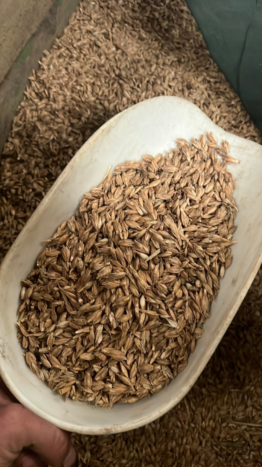 Spelt te koop, Ophalen