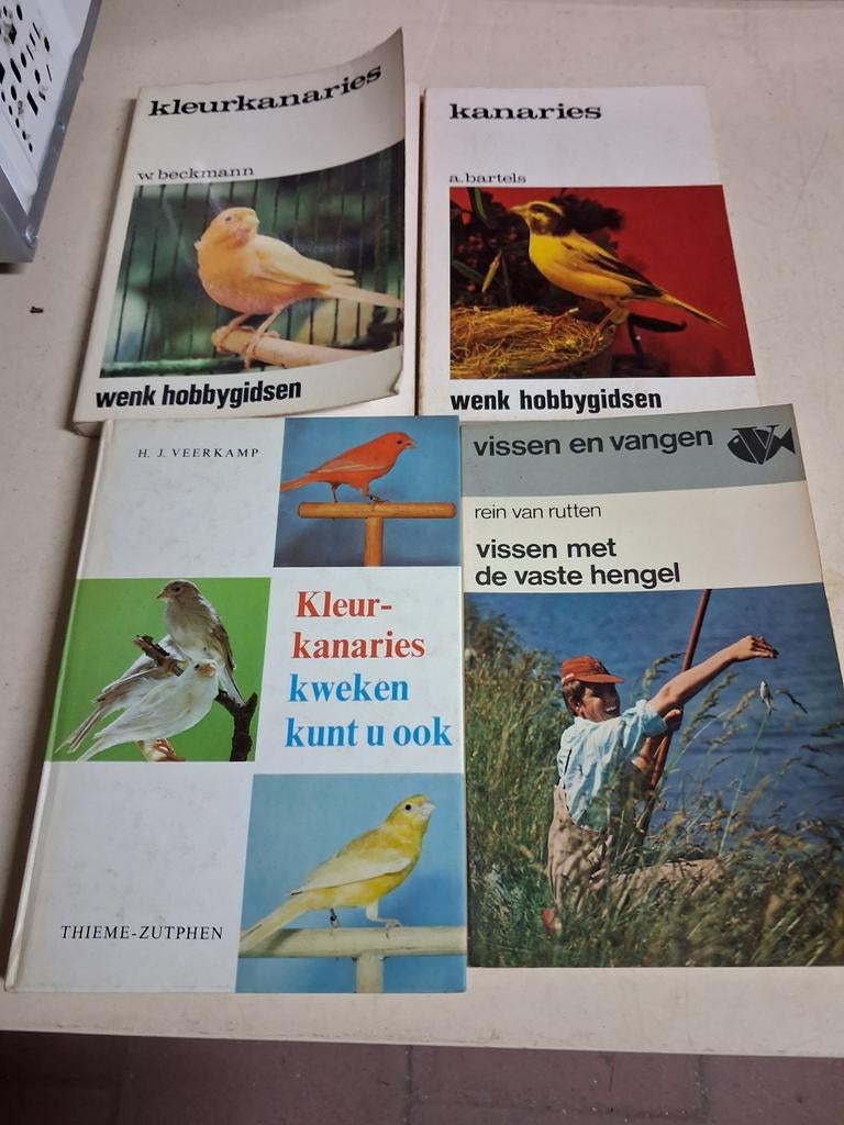 Boeken allerlei, Enlèvement