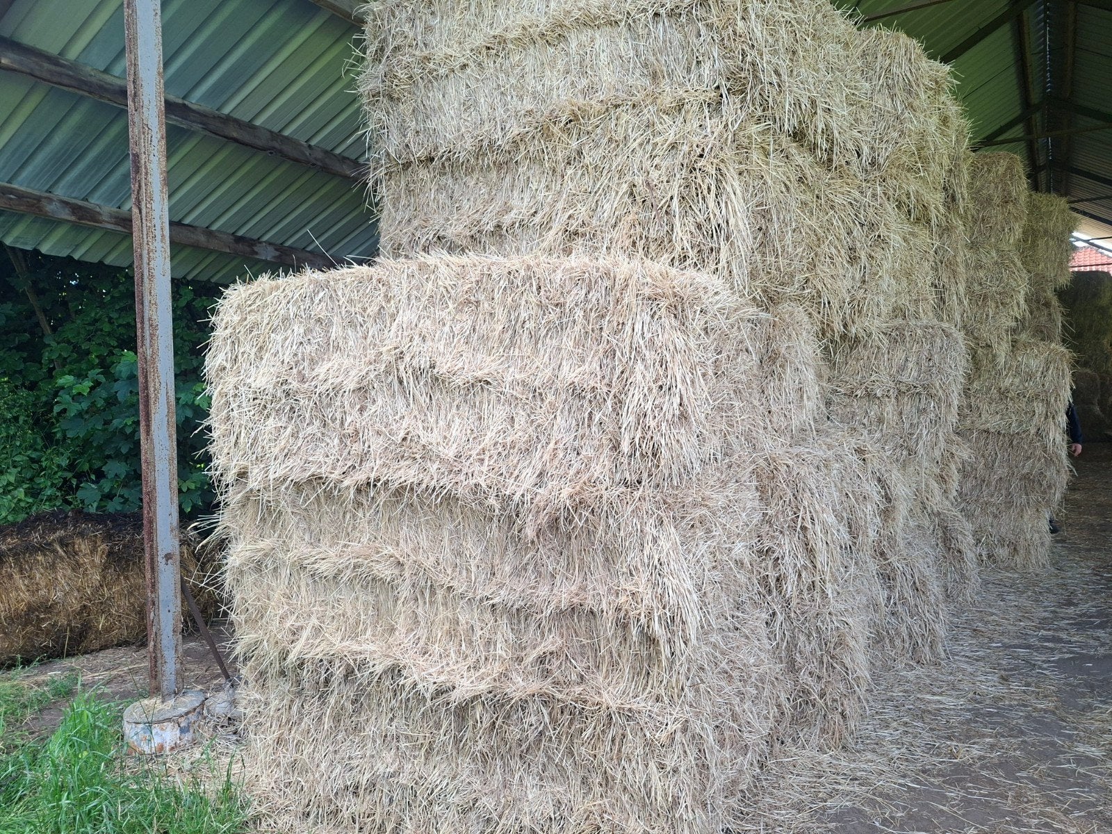 Droog hooi, Articles professionnels, Agriculture | Aliments pour bétail, Enlèvement
