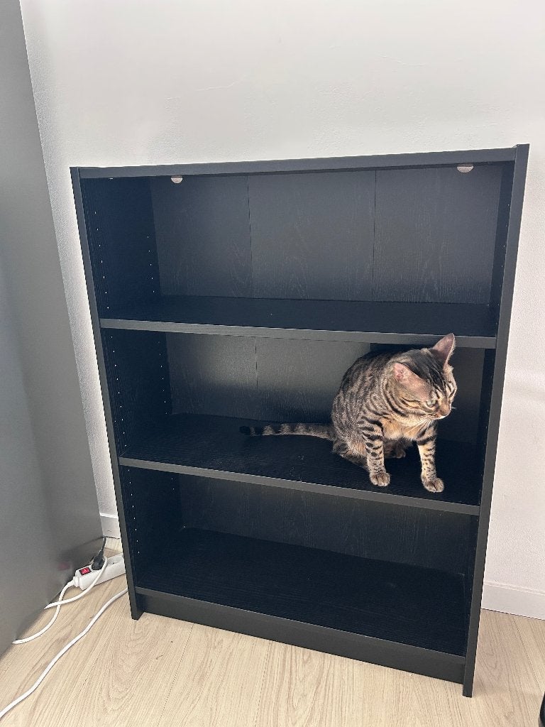 IKEA BILLY Boekenkast, zwart eikenpatroon, Ophalen, Met plank(en), 100 tot 150 cm, 50 tot 100 cm
