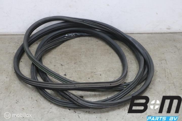 Schuifdeur rubber L of R Mercedes Sprinter 419 A9106169800, Auto-onderdelen, Gebruikt