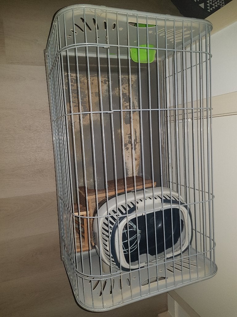 Cavia kooi, Dieren en Toebehoren, Ophalen, Kooi, Cavia