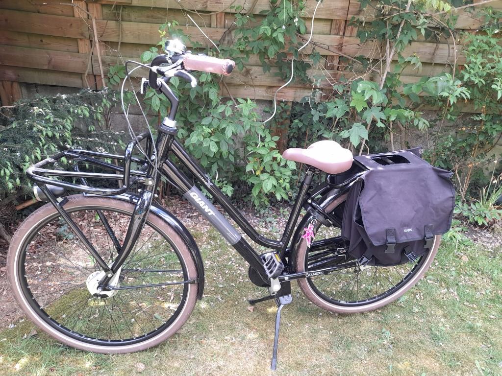 fiets Giant Triplex Lady, Fietsen en Brommers, Ophalen, Nieuw, Giant
