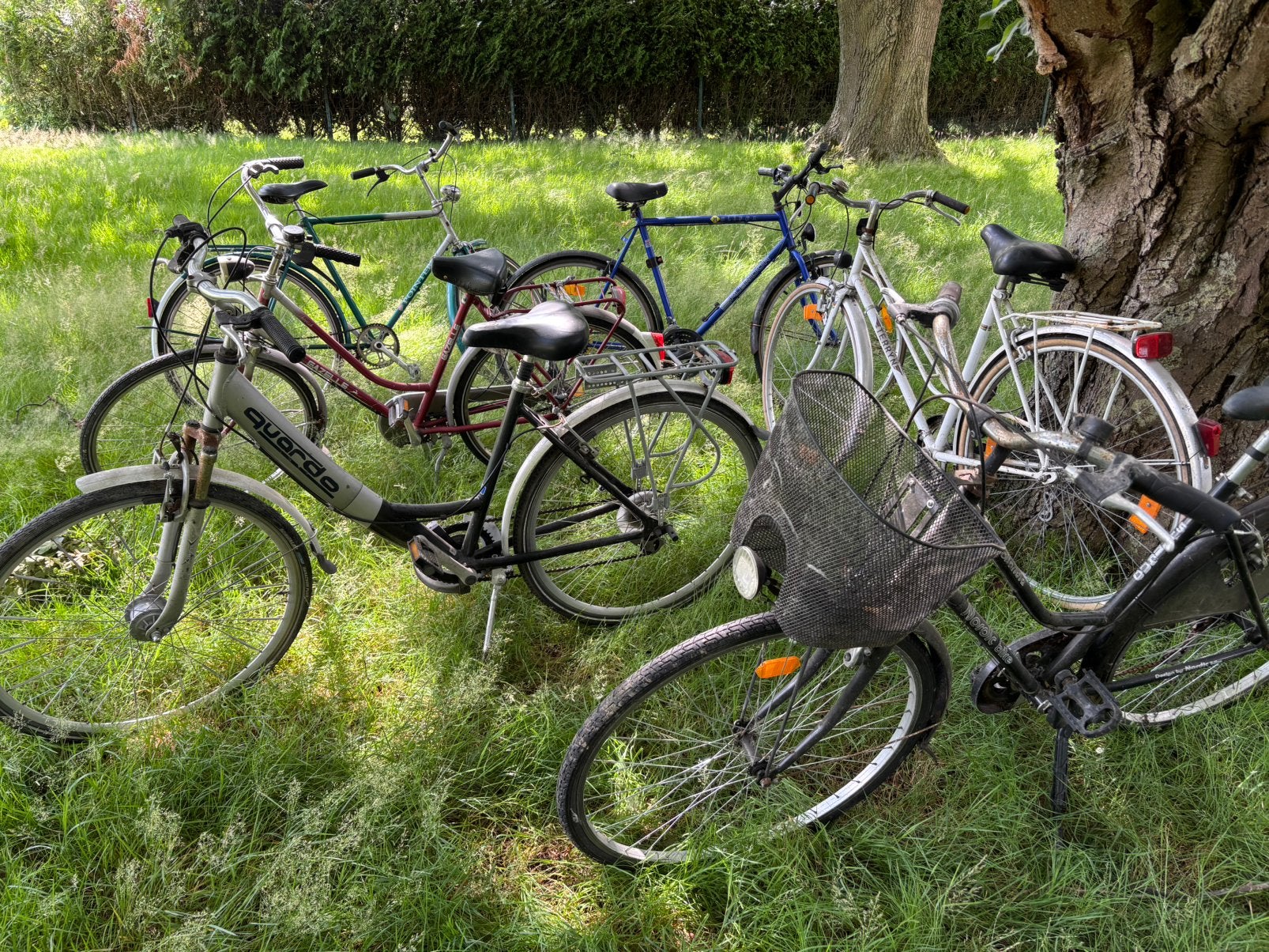 Fietsen 15€ per stuk, Ophalen, Zo goed als nieuw