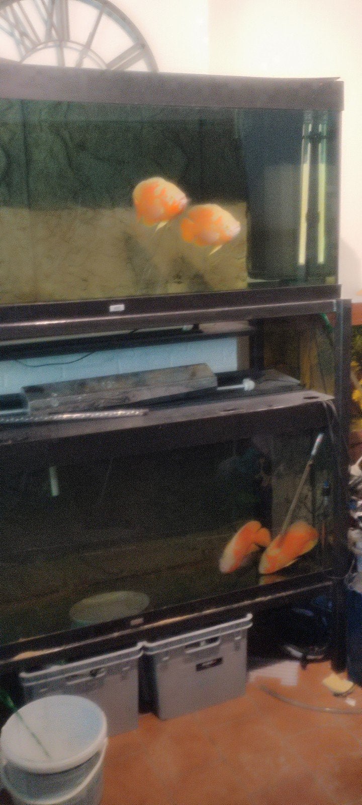 aquaria, Dieren en Toebehoren, Ophalen