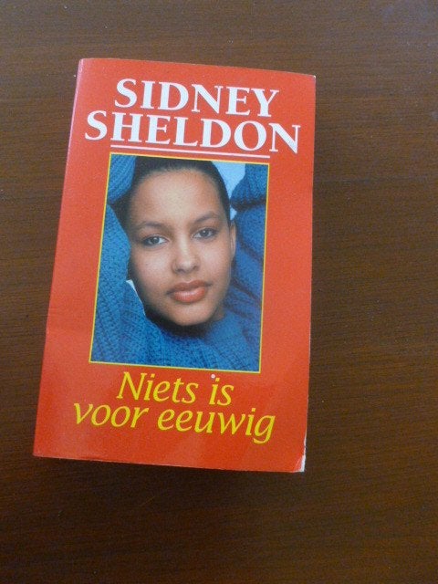 boek niets is voor eeuwig, Livres, Romans, Comme neuf, Enlèvement ou Envoi