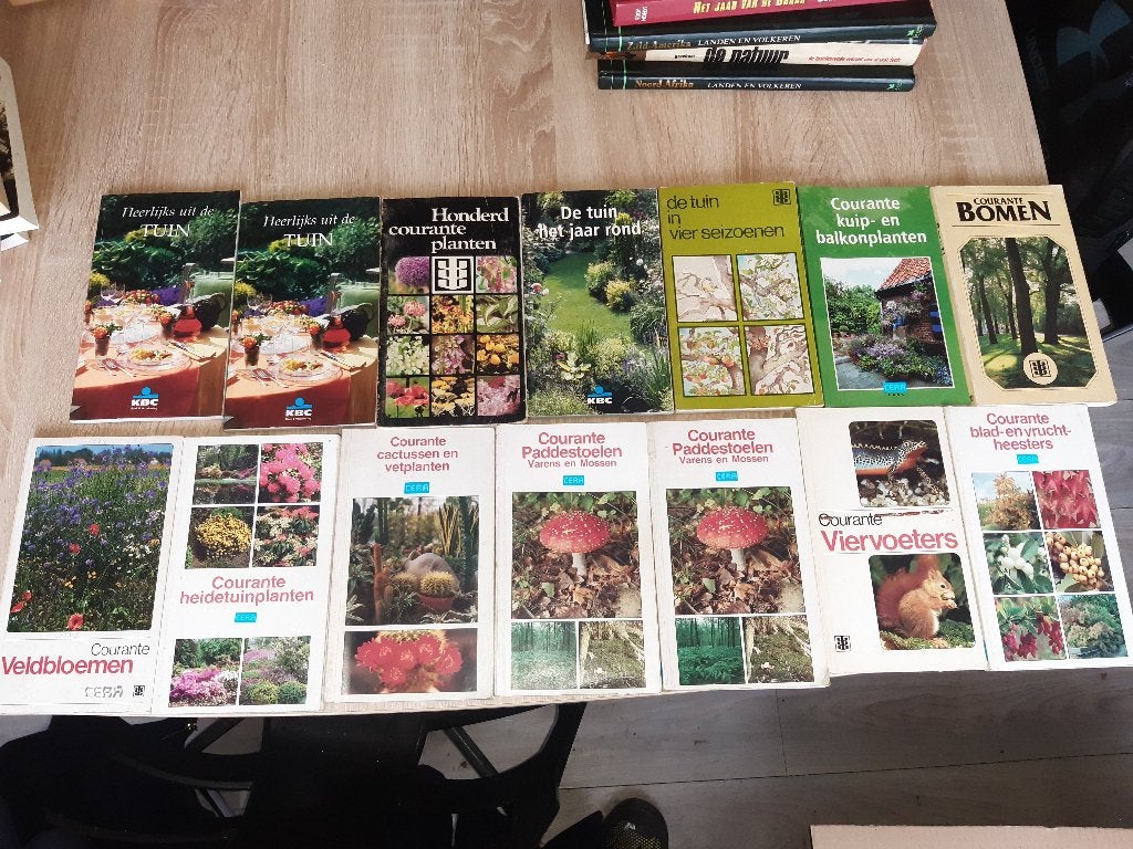 oude boeken voor rommelmarkt, Ophalen, Gebruikt