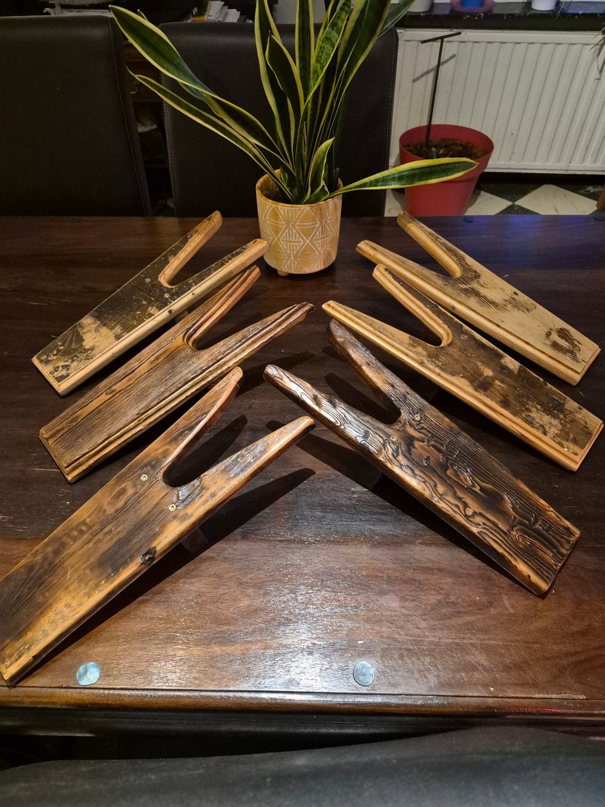 larzenknecht, Dieren en Toebehoren, Ophalen of Verzenden