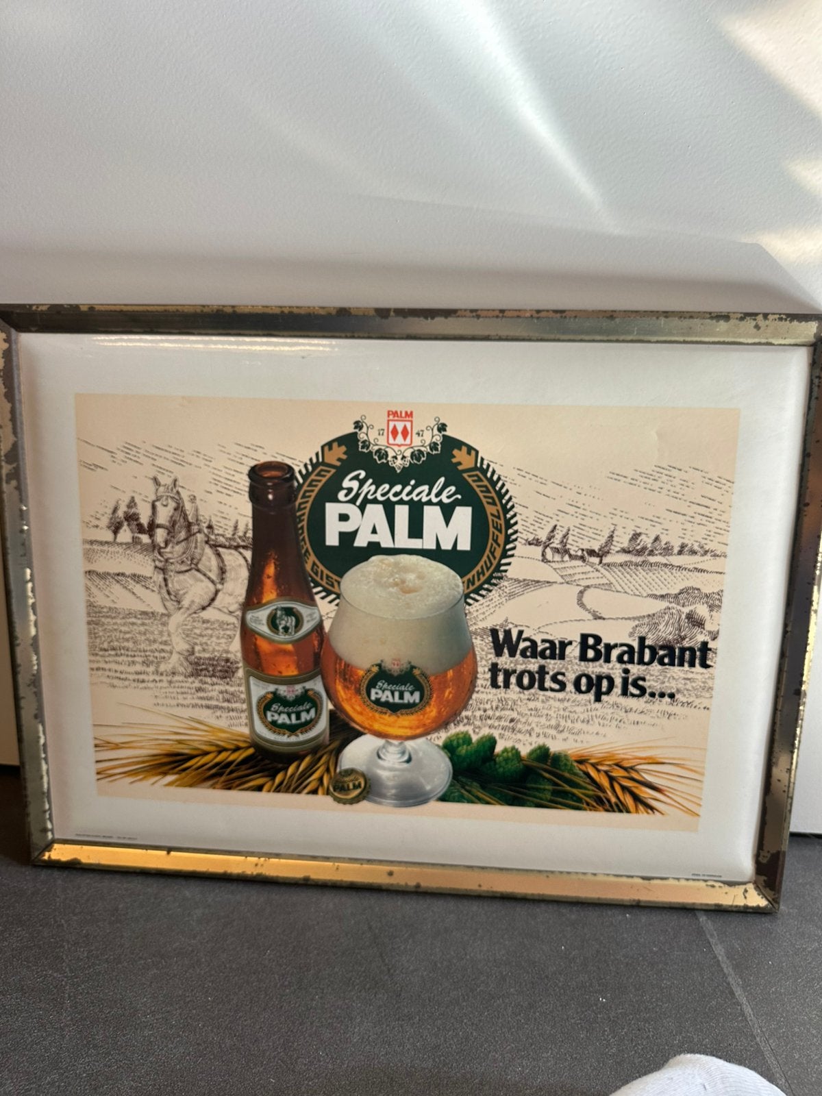 Palm reclamebord, Verzamelen, Ophalen of Verzenden, Zo goed als nieuw, Reclamebord