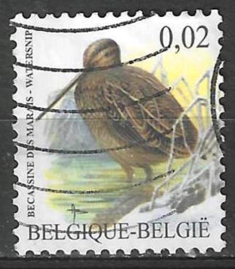 Belgie 2003 - Yvert 3192 /OBP 3199 - Buzin - Watersnip (ST), Verzenden, Gestempeld, Gestempeld, Voertuigen
