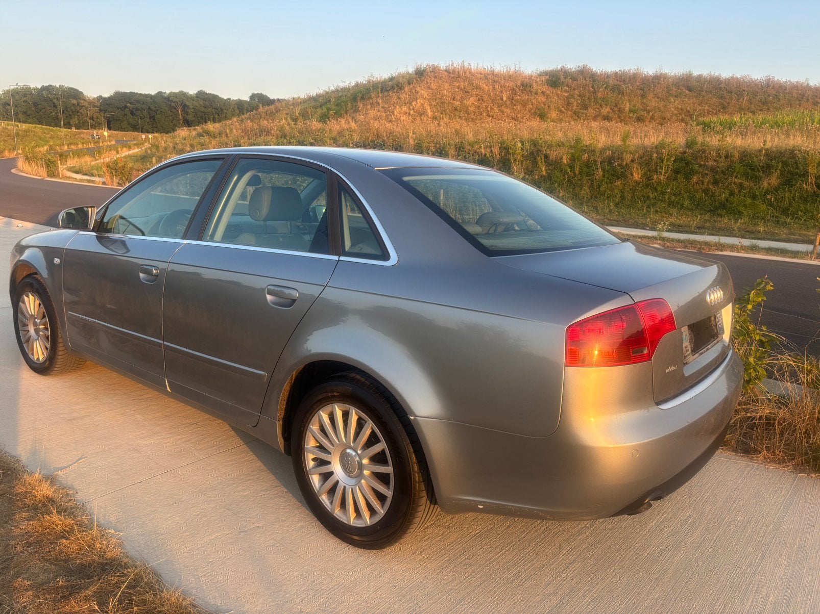 Audi A4 2.5 TDI, 100 kW, Argent ou Gris, Achat, Entreprise