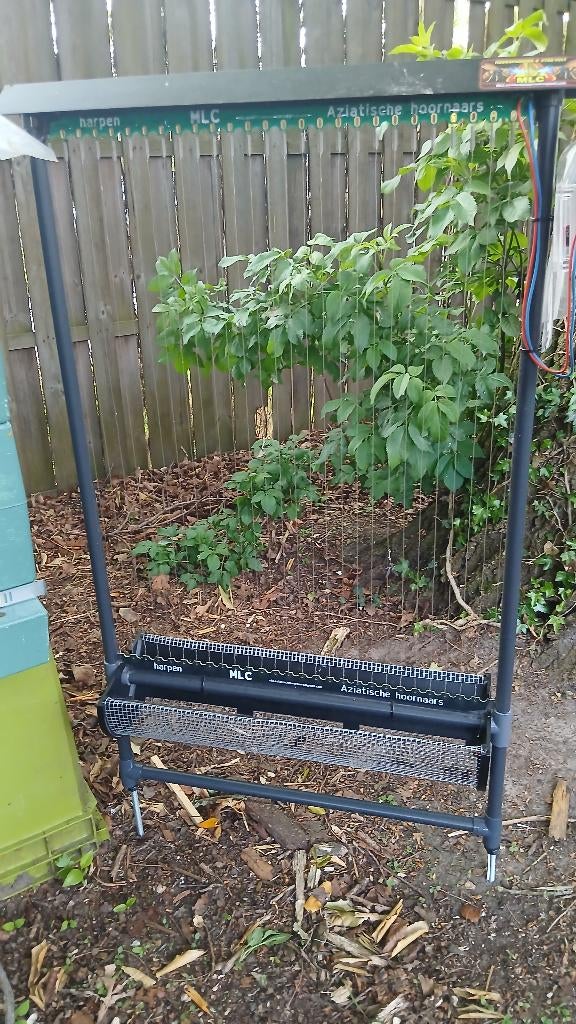 Aziatische hoornaar harp met droge opvangbak, Dieren en Toebehoren, Bijen