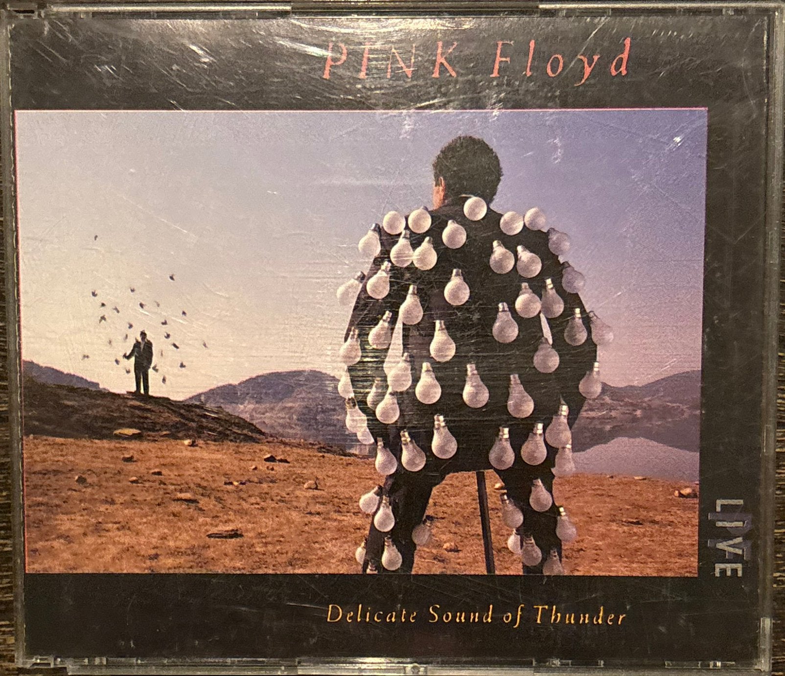 PINK FLOYD - Delicate Sound Of Thunder, Enlèvement ou Envoi, Comme neuf