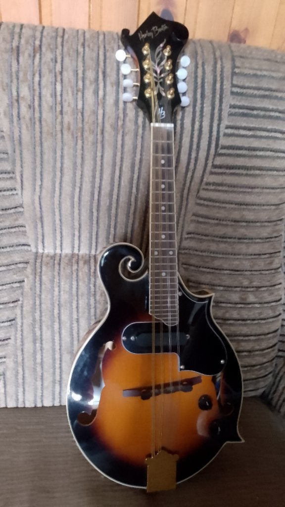 Mandoline, Musique & Instruments, Enlèvement, Comme neuf