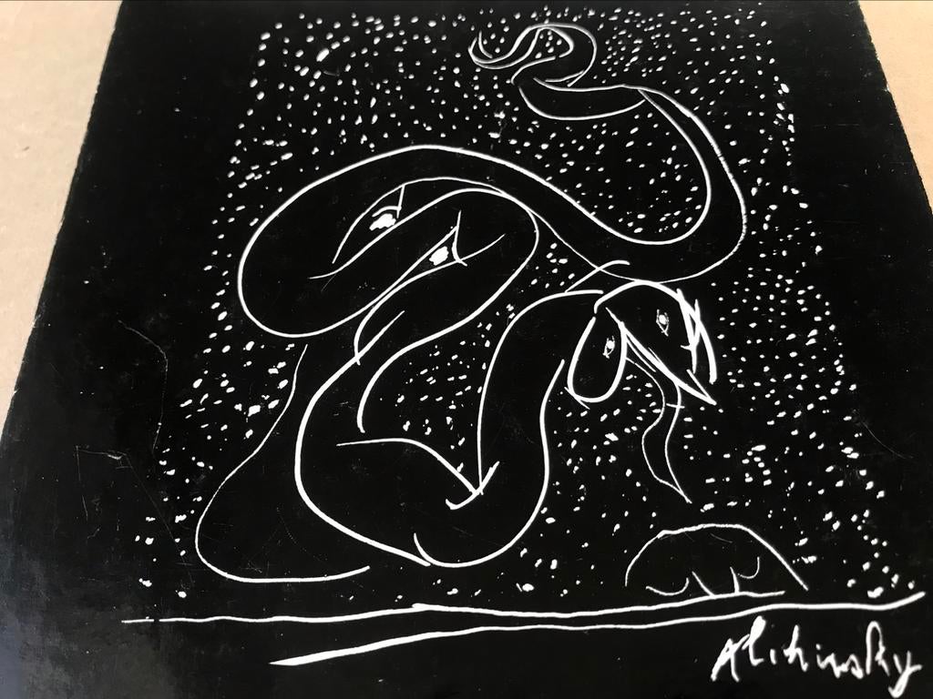 Pierre Alechinsky Dessins 150pag. Cobra, Ophalen of Verzenden, Zo goed als nieuw, Schilder- en Tekenkunst