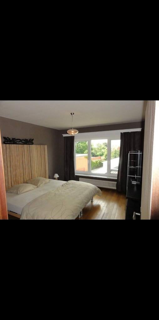 180cm x 200cm bamboo privacy scherm, Ophalen, Gebruikt