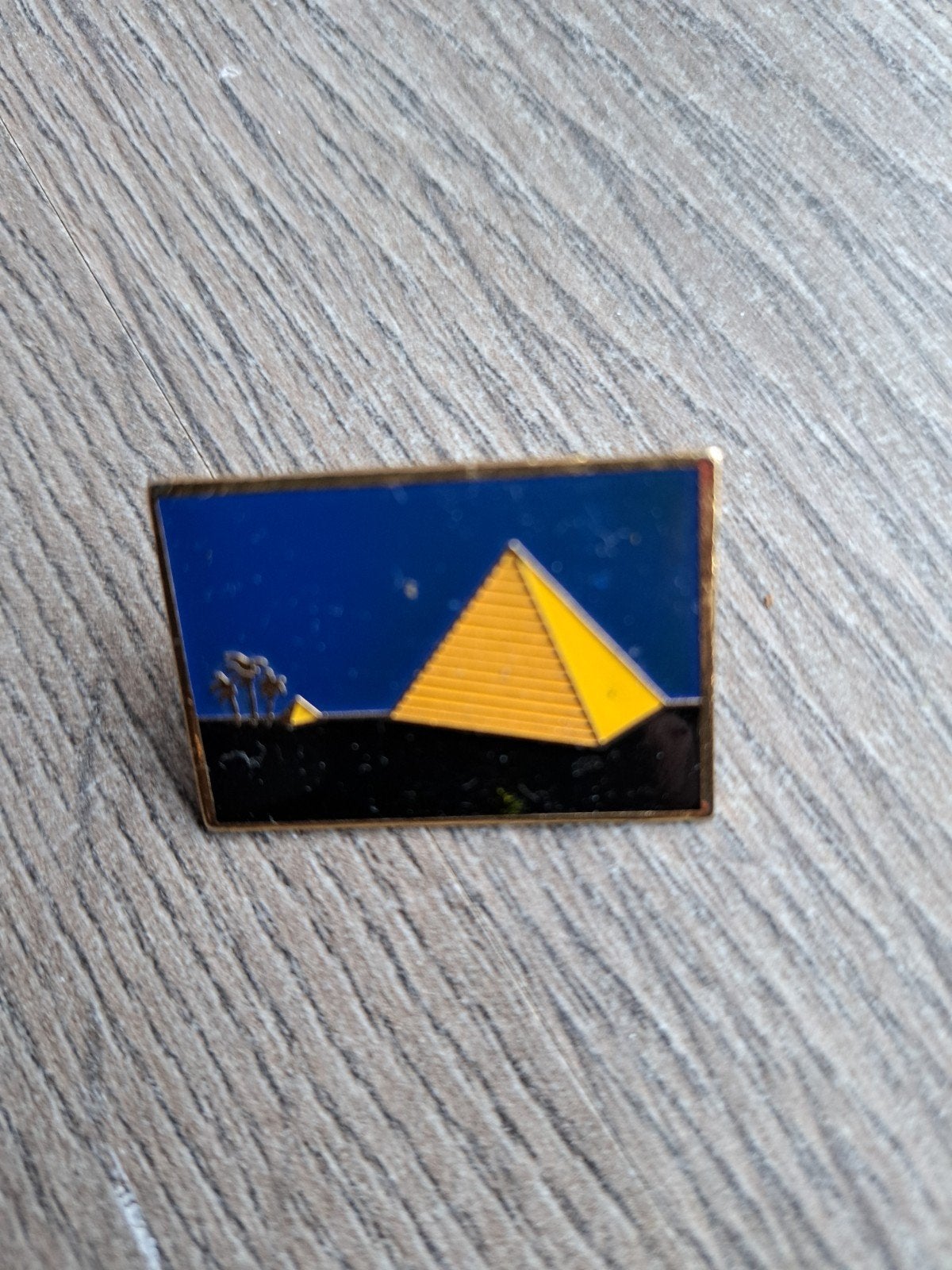 Pins  cigarette Camel, Collections