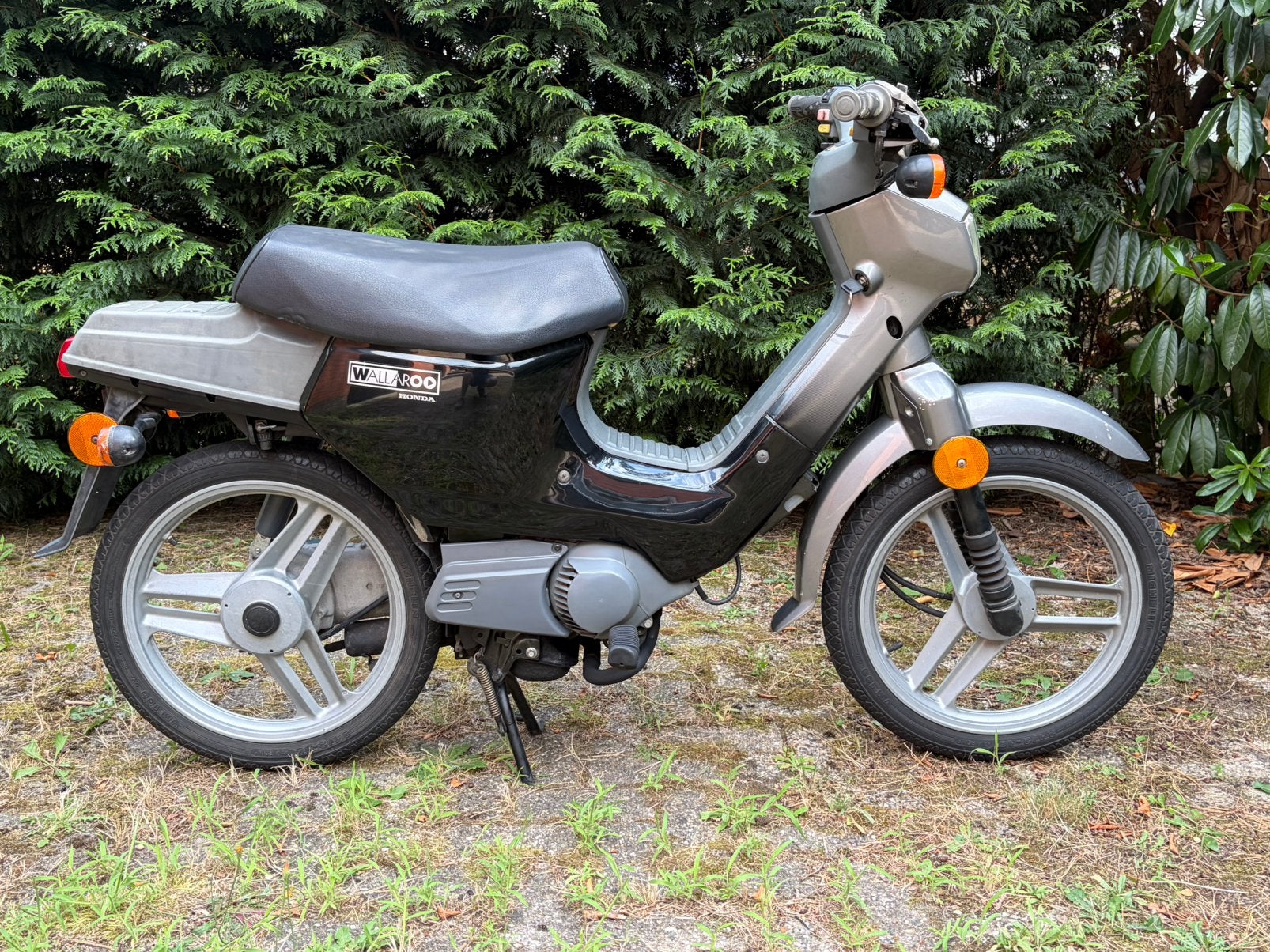 Honda wallaroo deluxe B-klasse, Fietsen en Brommers, Ophalen, Gebruikt, Overige modellen, Klasse B (45 km/u)