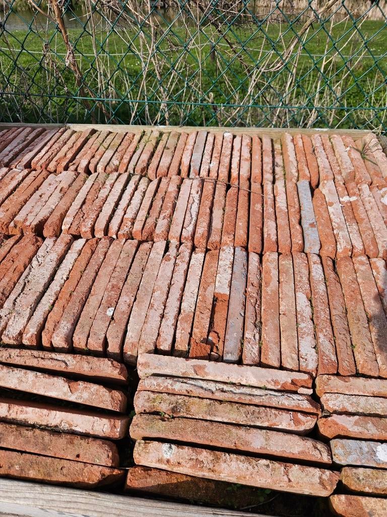 Steenstrips 1250 stuks, Tuin en Terras, Ophalen