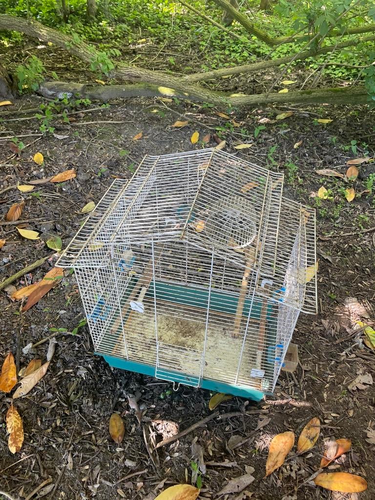 Cage à oiseau, Enlèvement, Utilisé