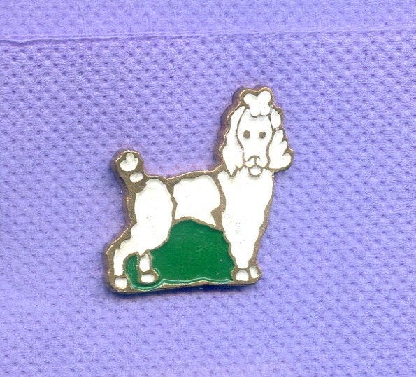 pins chien caniche a105, Envoi, Utilisé, Animal et Nature, Insigne ou Pin's