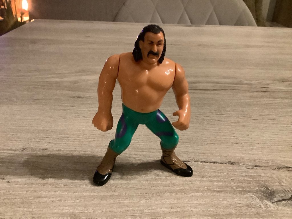 WWF Jake the Snake Roberts character (1990) (12 cm), Ophalen of Verzenden, Gebruikt