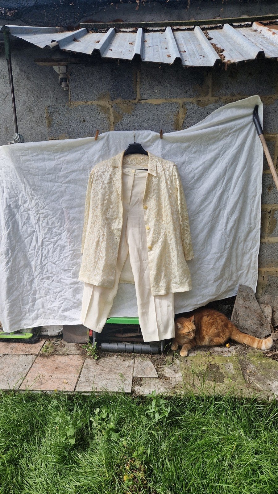 Tailleur pantalon femme, Vêtements | Femmes, Neuf, Taille 46/48 (XL) ou plus grande, Enlèvement ou Envoi, Autres couleurs