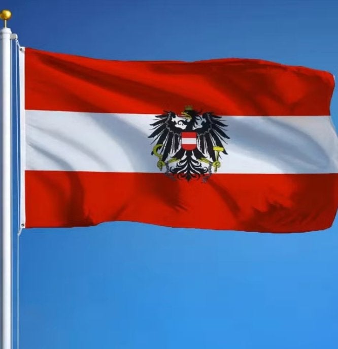 Grote vlag Oostenrijk (150x90cm), Ophalen of Verzenden, Nieuw