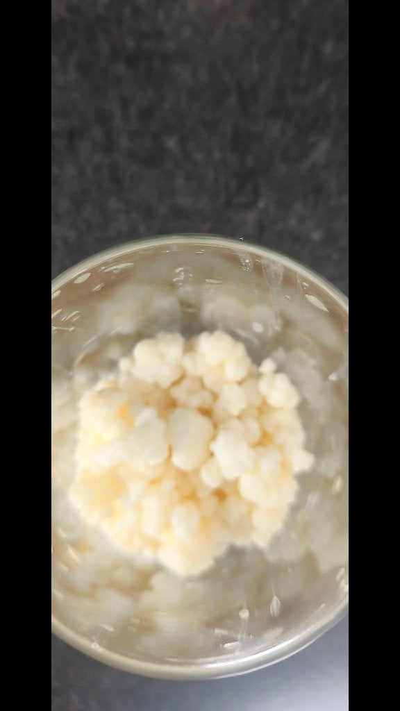 Bio melkkefir, Diversen, Ophalen