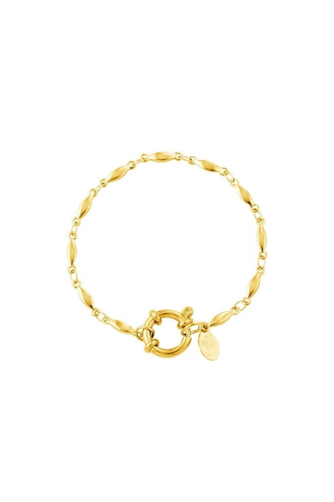 Armband ovale ketting Goud kleur Stainless Steel, Ophalen of Verzenden, Nieuw, Goud, Goud