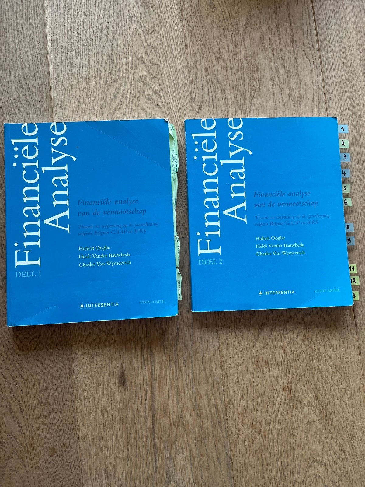Financiële analyse + sv + tabellen + sjabloon, Boeken, Ophalen, Zo goed als nieuw