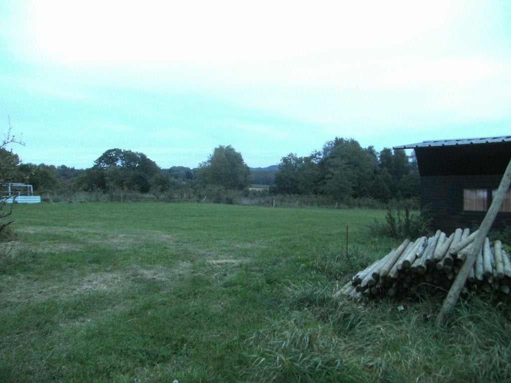 Weide om te hooien, Dieren en Toebehoren, Januari