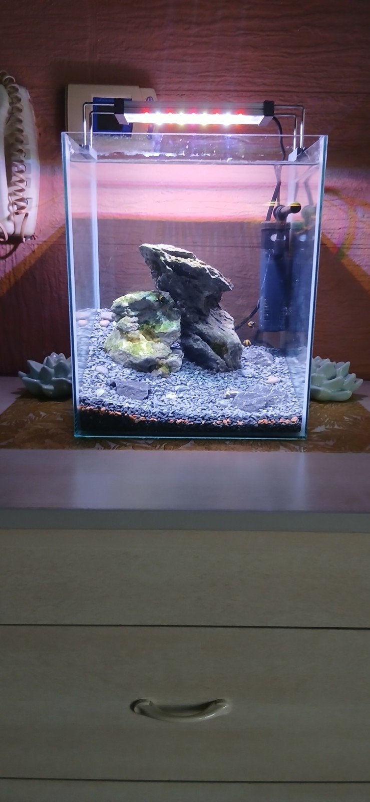 Aquarium Iwagumi, Enlèvement, Filter
