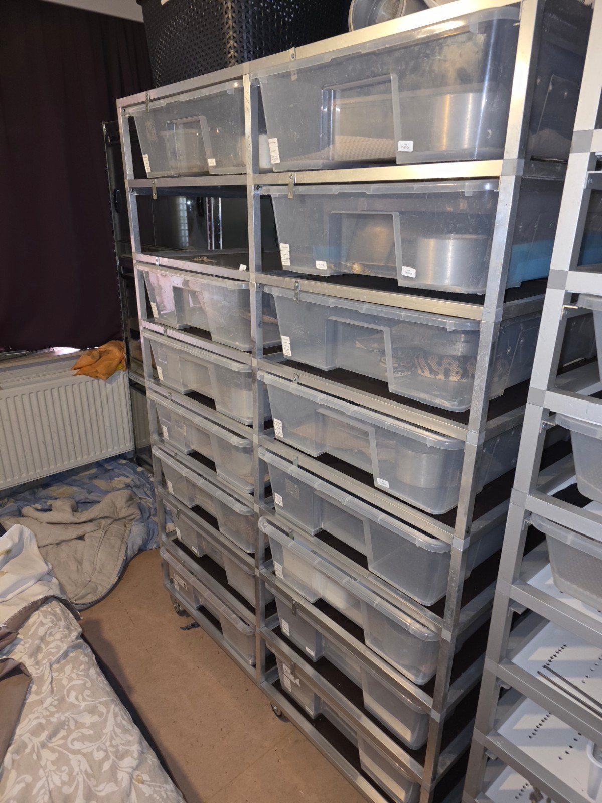 Grand support à serpents + 8 mythons royaux RTB (1 homme, 7, Animaux & Accessoires, Reptiles & Amphibiens, Serpent, Domestique