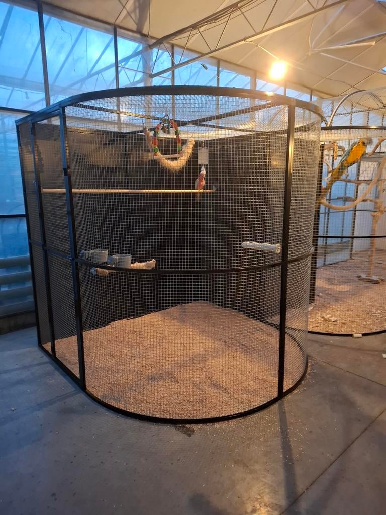 Voliere vogelkooi zwart gecoat 2 x 2 x 2m, Dieren en Toebehoren, Ophalen, Vogelkooi