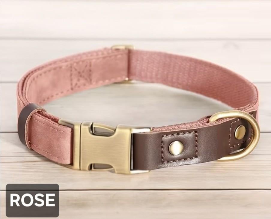 Collier pour chien, Dieren en Toebehoren, Hondenhalsbanden en Penningen, Verzenden