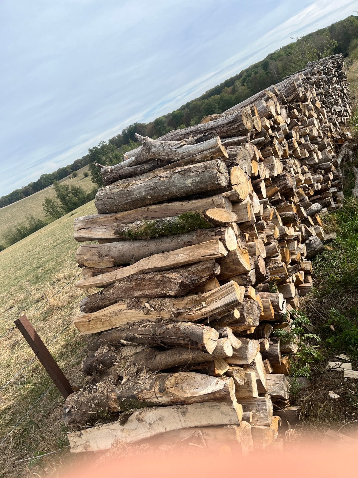 Bois de chauffage, Enlèvement ou Envoi