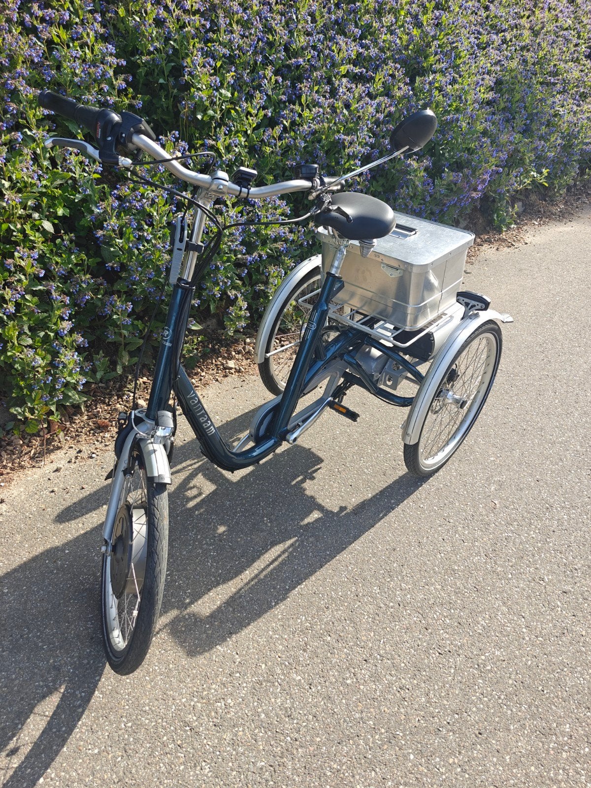 Van Raam Maxi met elektrische ondersteuning, Ophalen, Velgrem