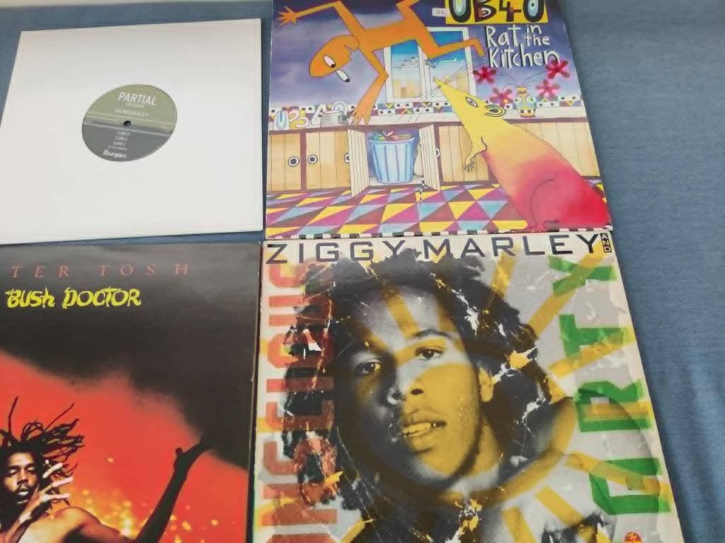 lot reggae: disciples, ziggy marley, p tosh, UB40 (rat in ki, Enlèvement ou Envoi, LP
