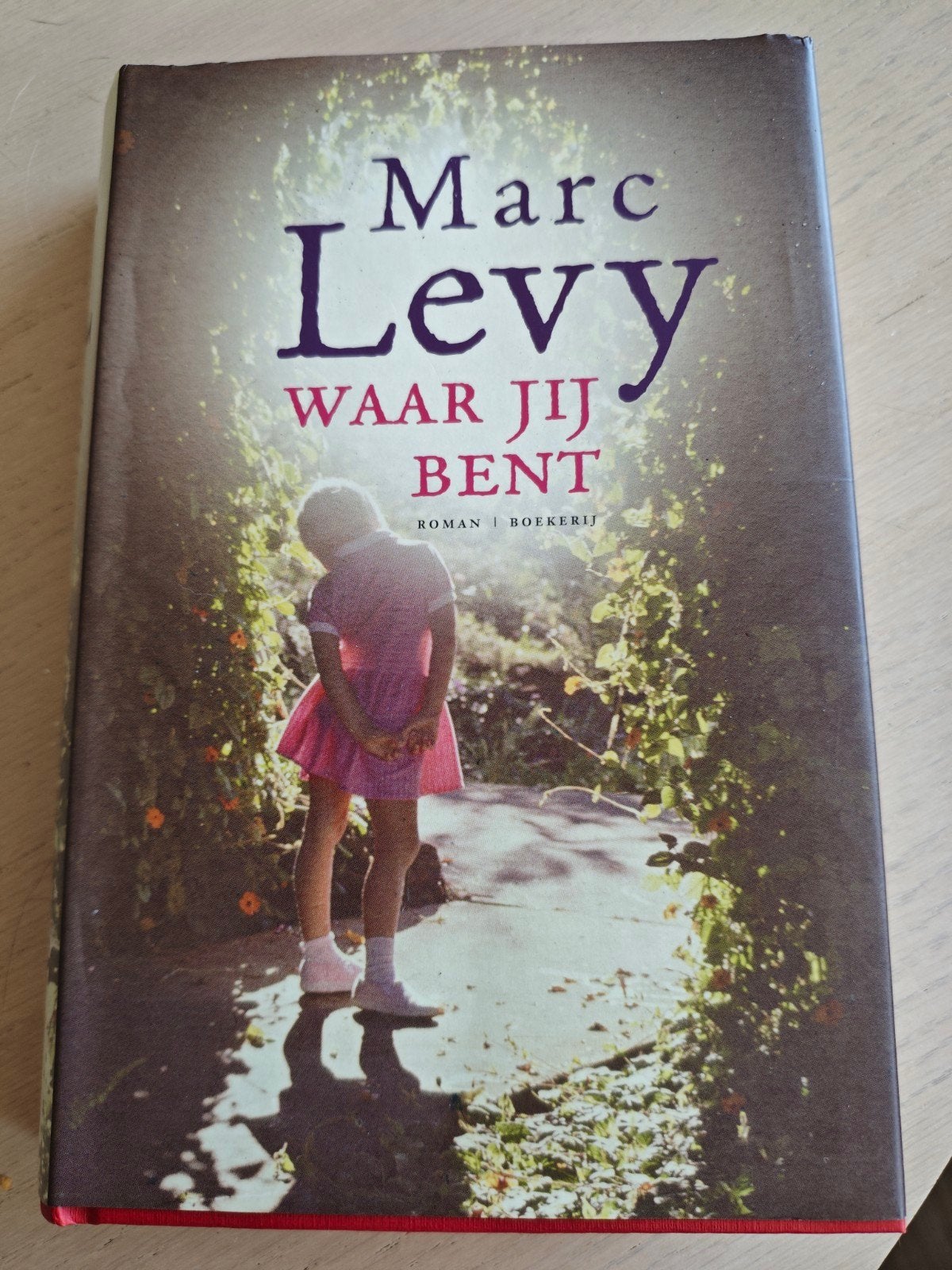 Marc Levy - Waar jij bent, Boeken, Literatuur, Ophalen of Verzenden, Marc Levy